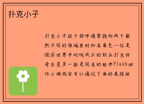 扑克小子